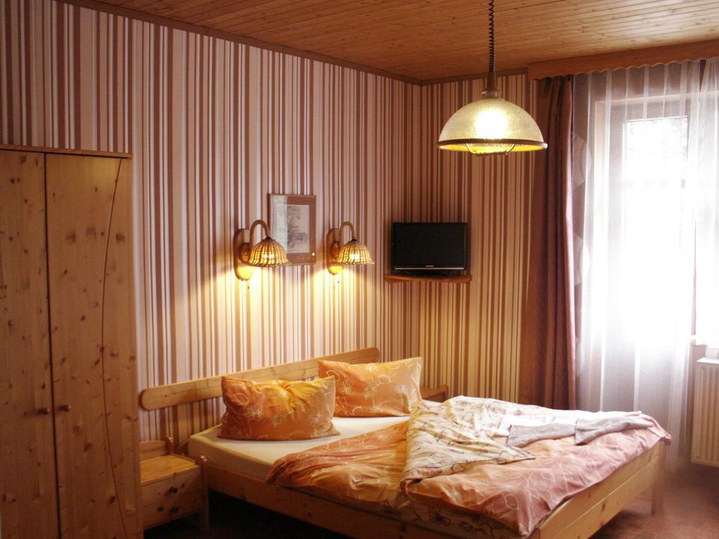 Hotel Lesni Dum Janske Lazne Rum bild