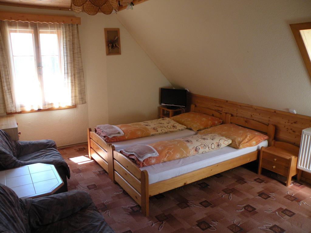 Hotel Lesni Dum Janske Lazne Rum bild