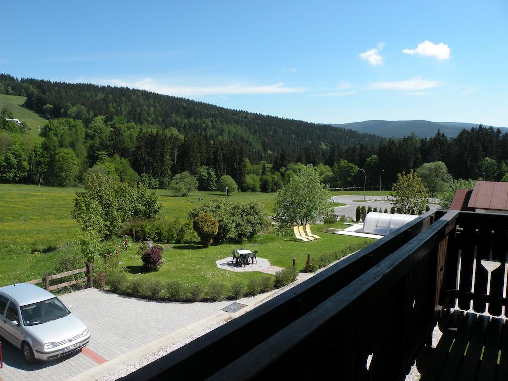Hotel Lesni Dum Janske Lazne Rum bild