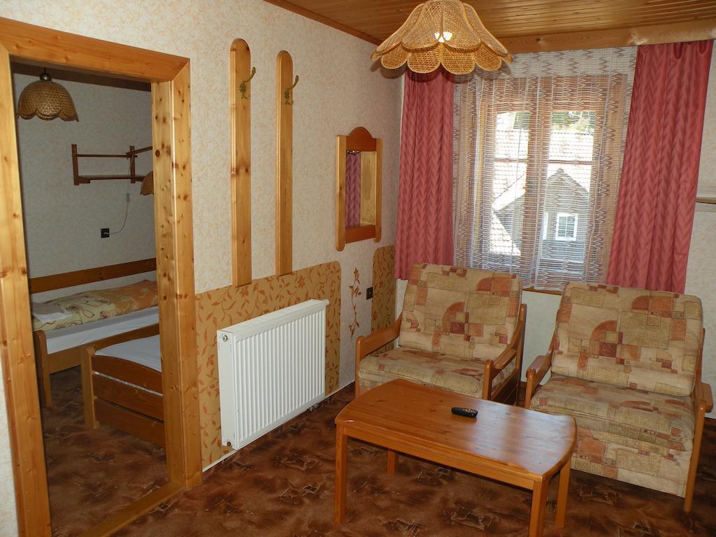 Hotel Lesni Dum Janske Lazne Rum bild
