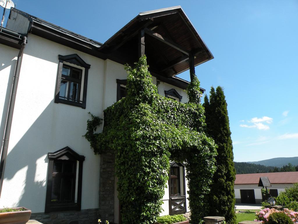 Hotel Lesni Dum Janske Lazne Rum bild