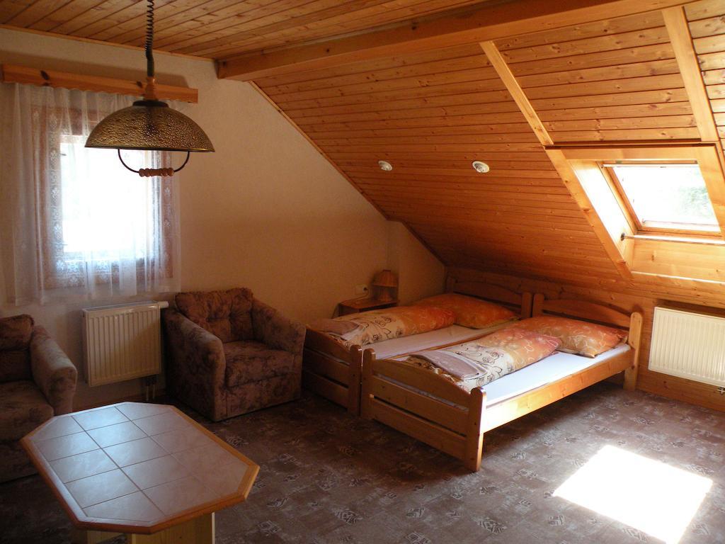 Hotel Lesni Dum Janske Lazne Rum bild