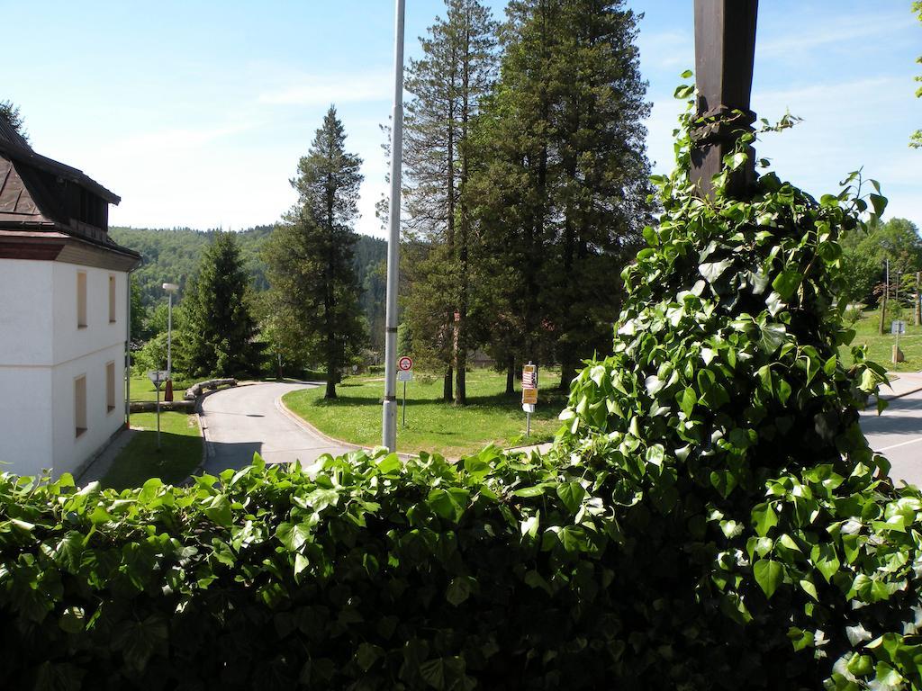 Hotel Lesni Dum Janske Lazne Rum bild